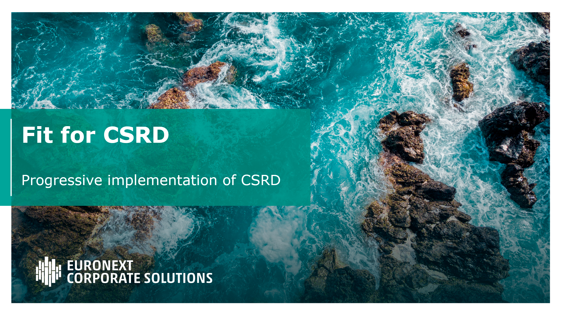ECS_ESG-Advisory-Fit-for-CSRD_Mockup_091224 (1)