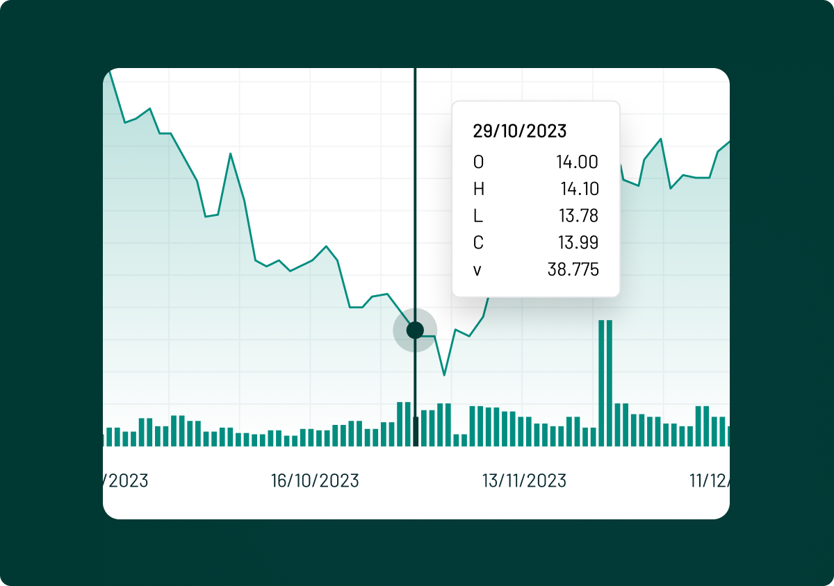 Shareholder Analysis